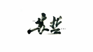 苏哲 书法字体设计LOGO