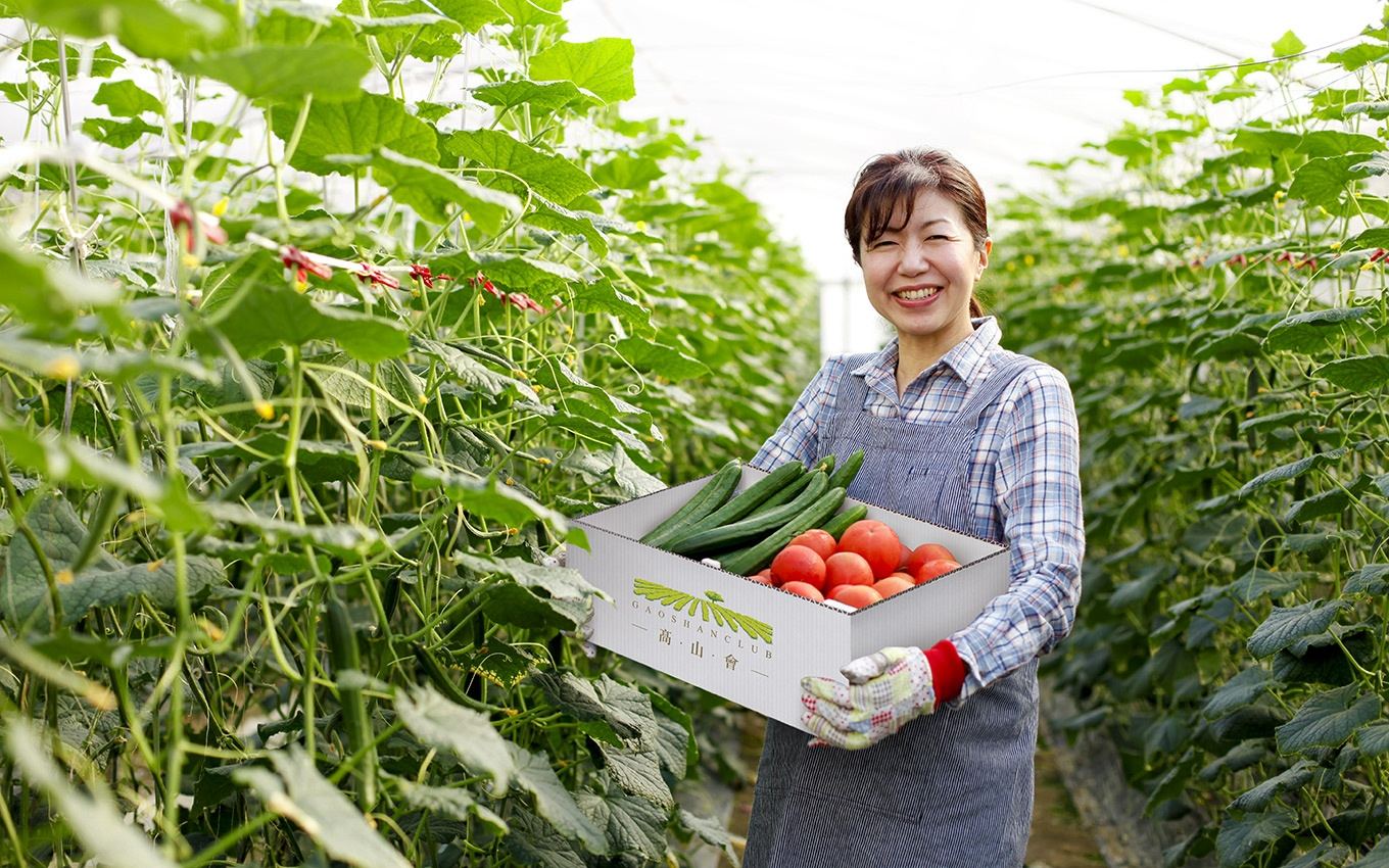 高山会有机蔬菜品牌标志设计5
