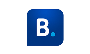 B字母标志LOGO标志