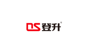 DS登升标志LOGO