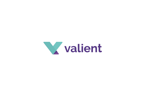 Valient identity 字母V标志