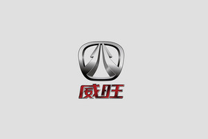 威旺汽车标志LOGO