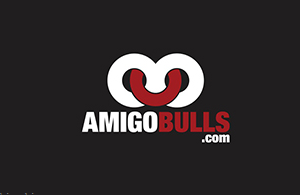 AMIGO公牛标志LOGO标志