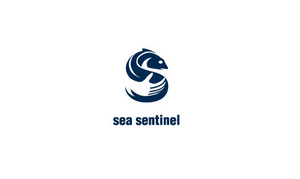 Sea Sentinel 字母S 鱼标志设计LOGO