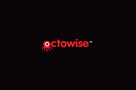 octowise标志LOGO