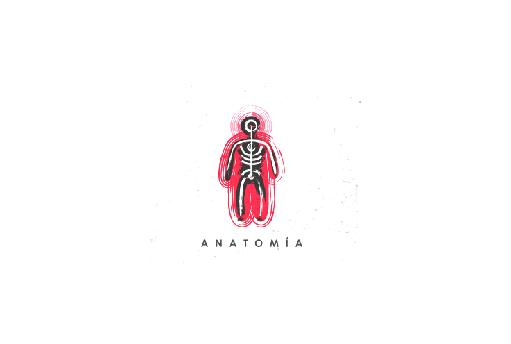 Anatomía 人体骨骼标志