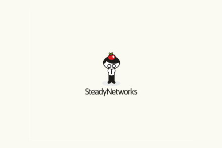 SteadyNetworks鍥藉Logo璁捐LOGO