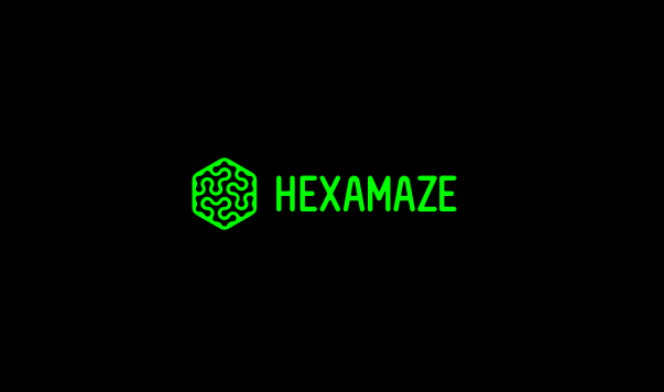 HEXAMAZE标志设计LOGO