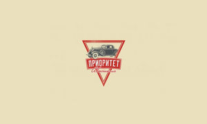 NPNOPNTET 汽车标志LOGO