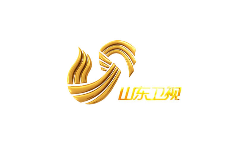 山东卫视 电视台标志