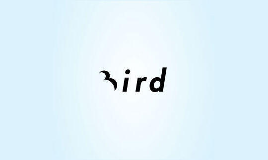 Bird 创意鸟标志