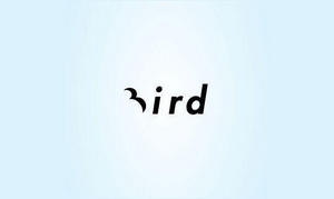 Bird 创意鸟标志LOGO