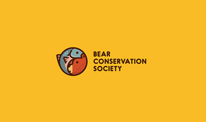 Bear 熊标志LOGO