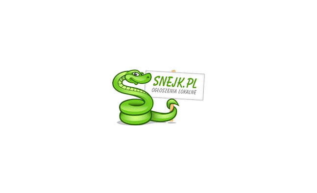 Snejk标志设计LOGO