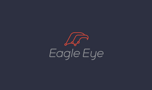 Eagle Eye 数据标志LOGO