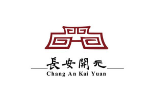 安徽长安开元投资集团LOGO图片LOGO