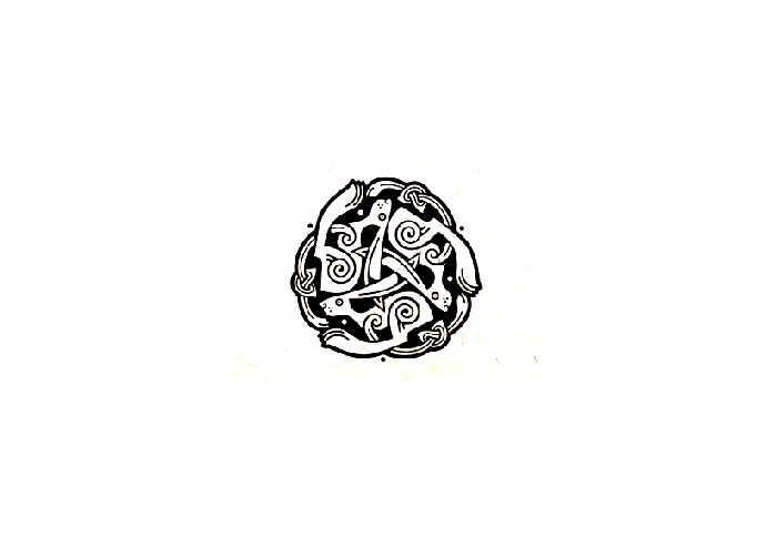 爱尔兰舞蹈学校标志LOGO