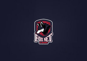 Team Foxnet 狐狸标志LOGO