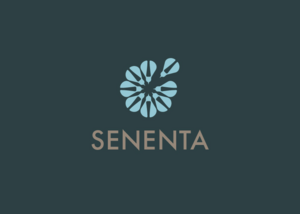Senenta花瓣飞镖标志LOGO