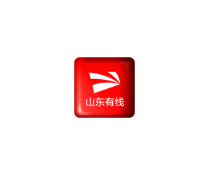 山东有线 ICON 图标LOGO
