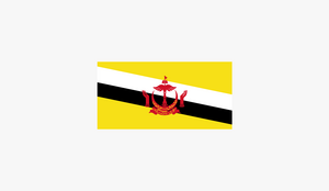 文莱国家标志LOGO