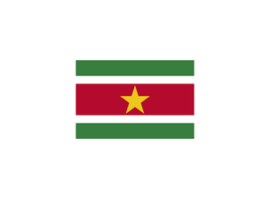 苏里南国家标志LOGO