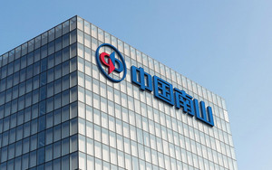 中国南山集团LOGO设计LOGO