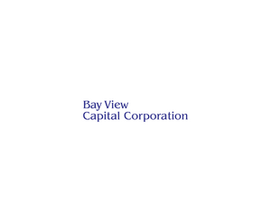 Bay View Capital CorporationLOGO