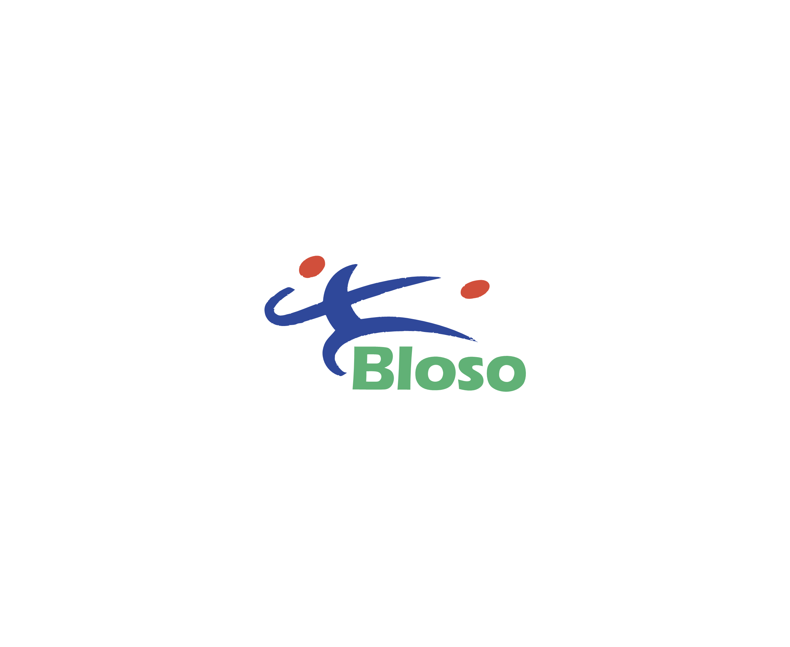 Bloso 88113标志