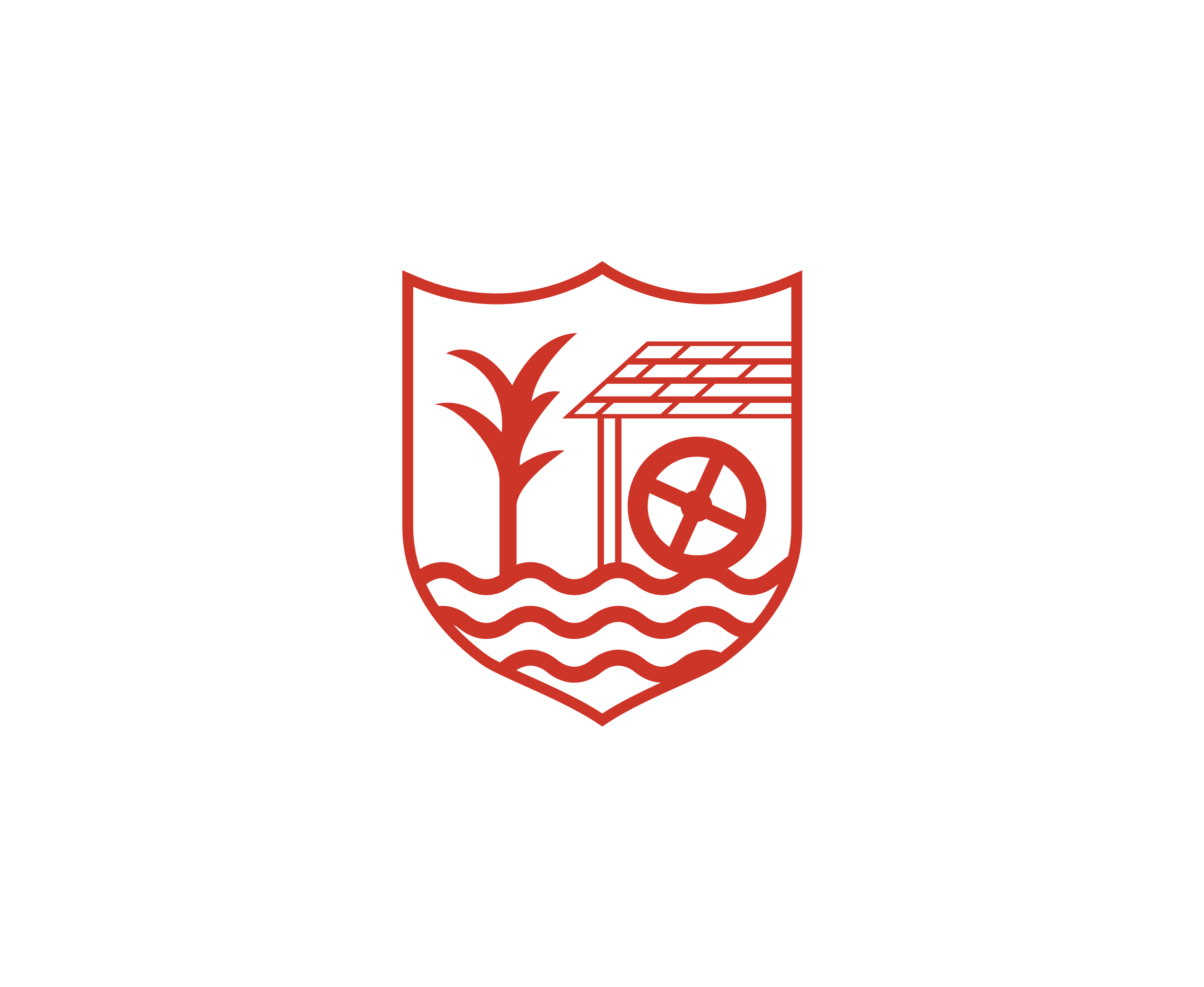 Ballyclare Comrades标志