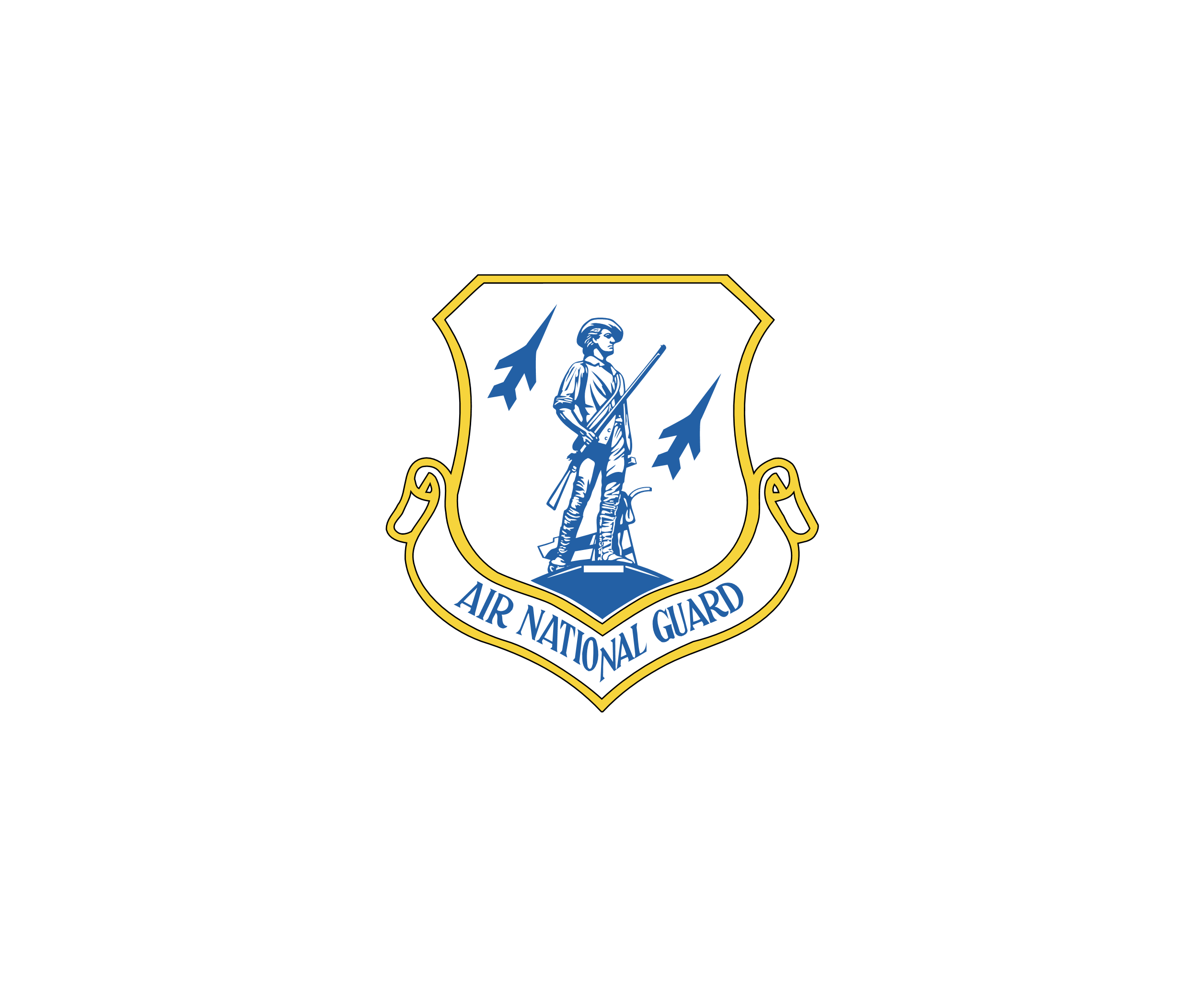 Air National Guard标志