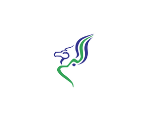 Buraq AirLOGO