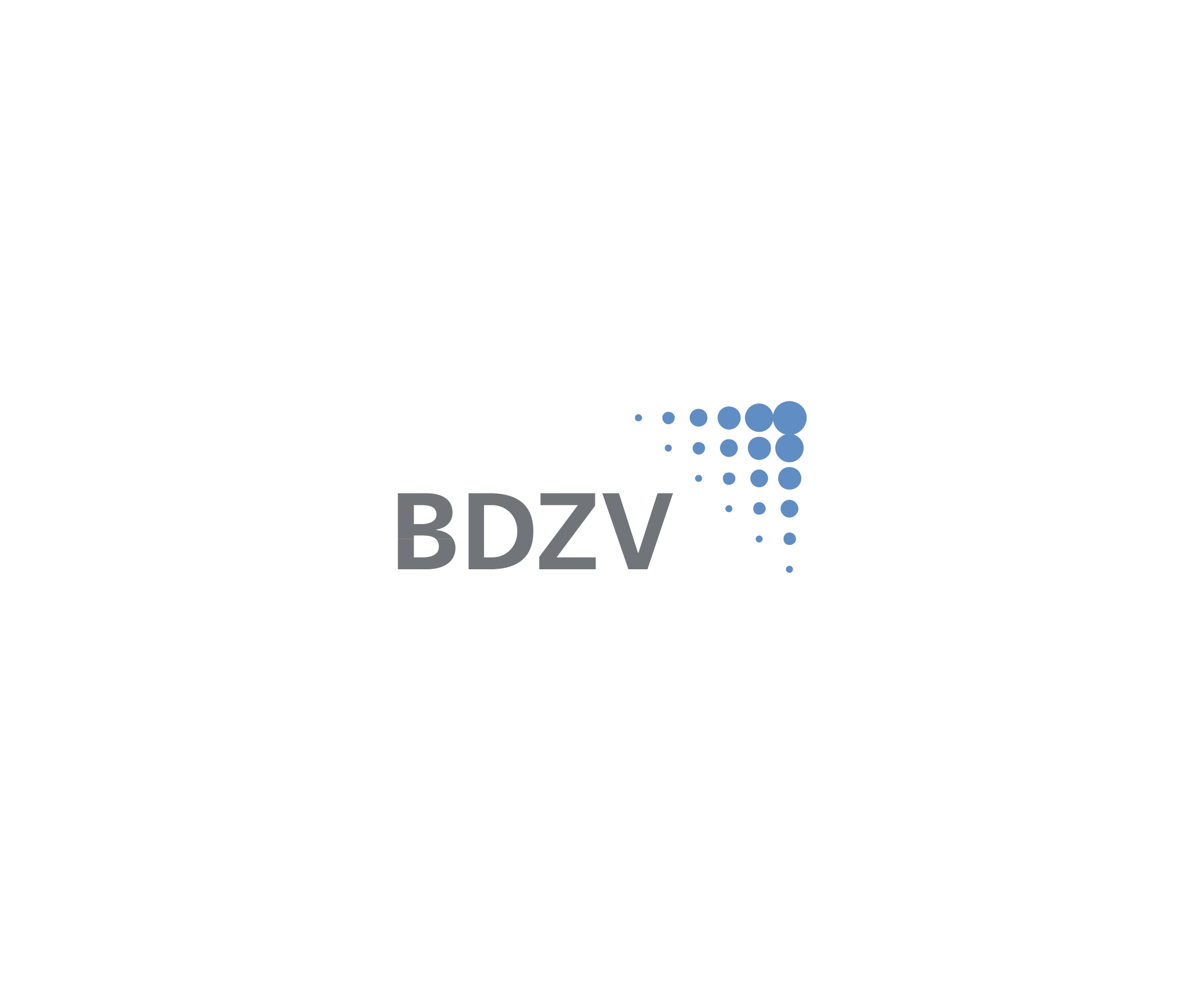 Bdzv 51530标志