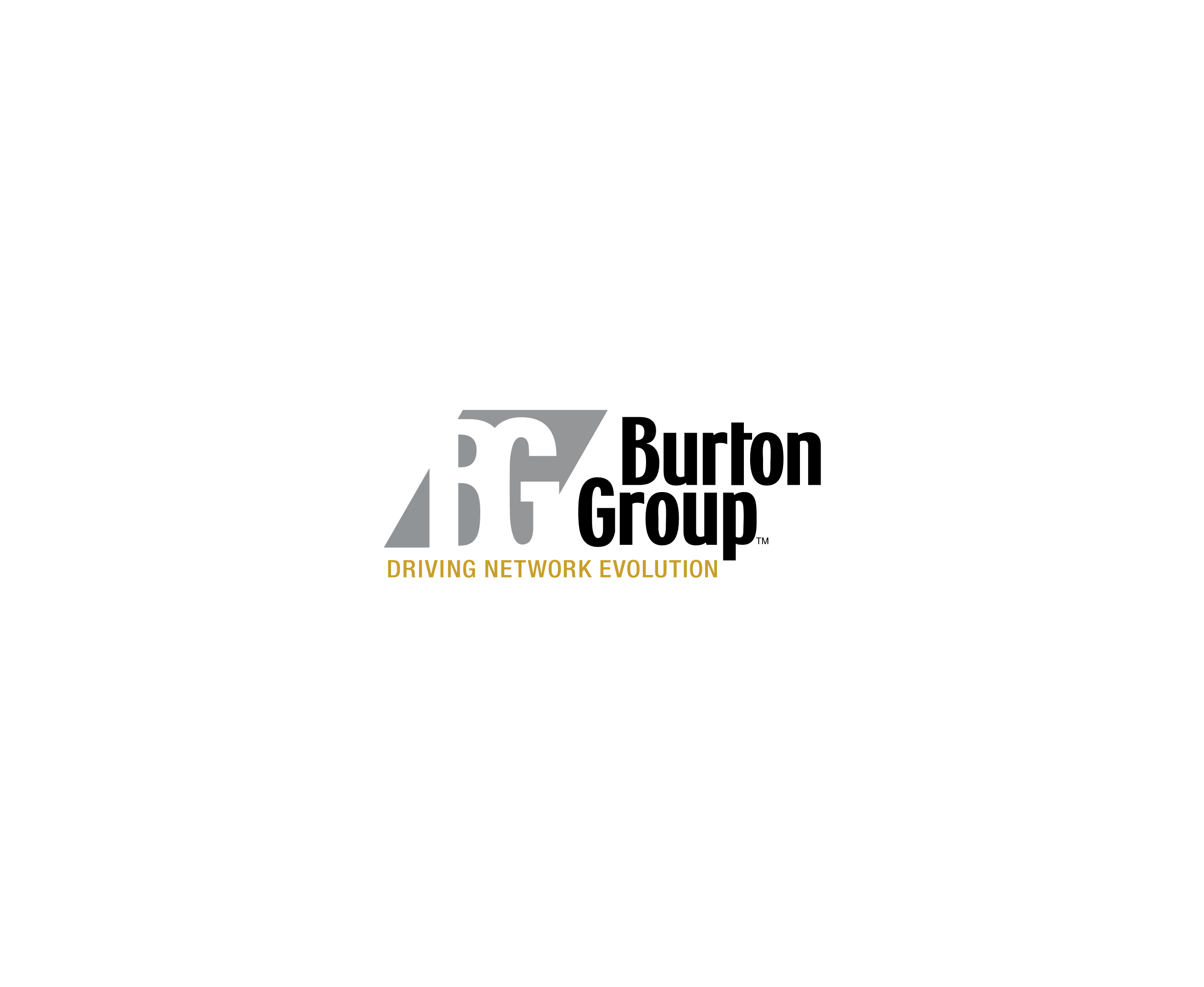 Burton Group标志