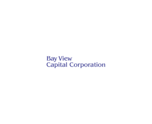 Bay View Capital Corporation 24399LOGO
