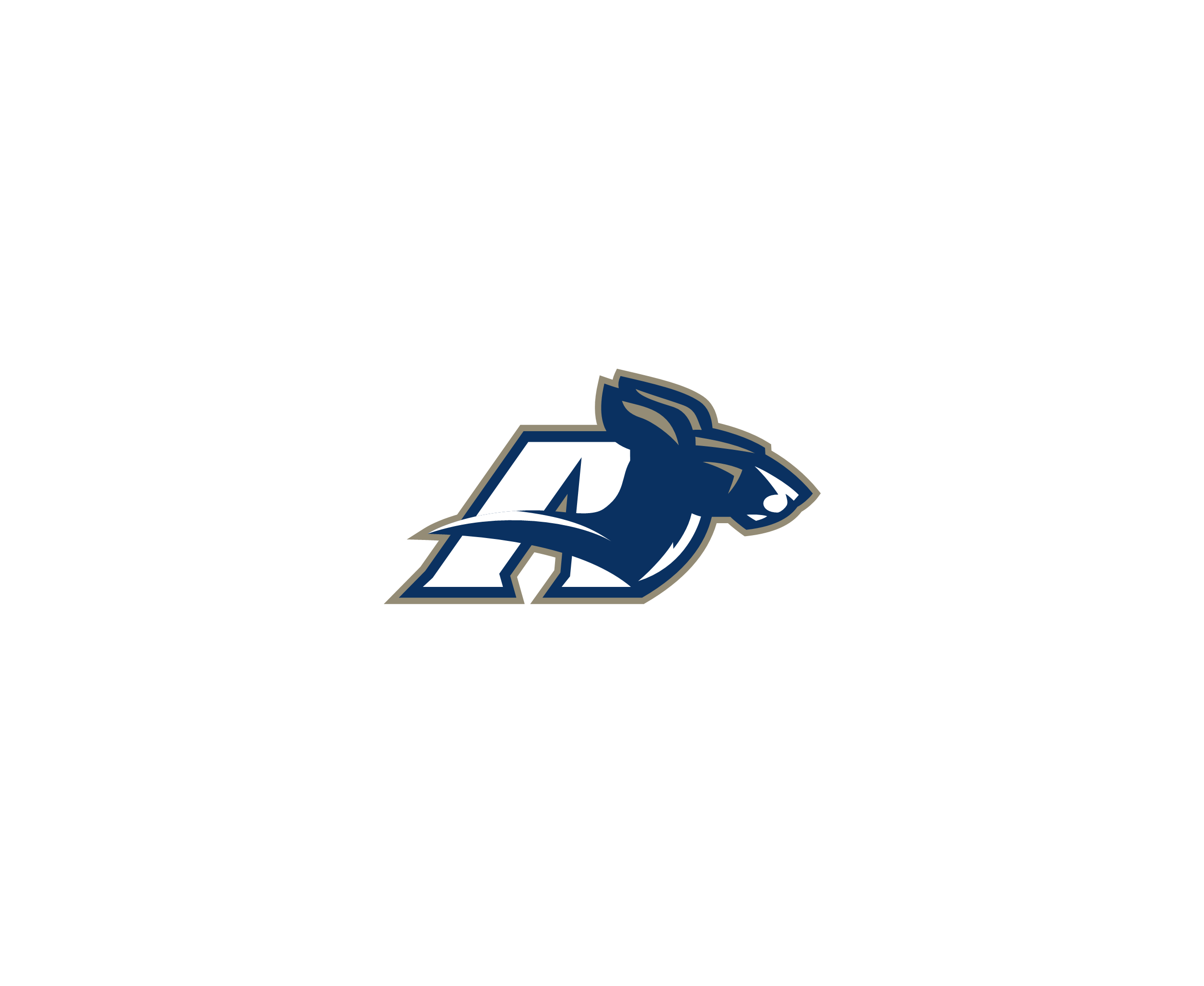 Akron Zips 2标志