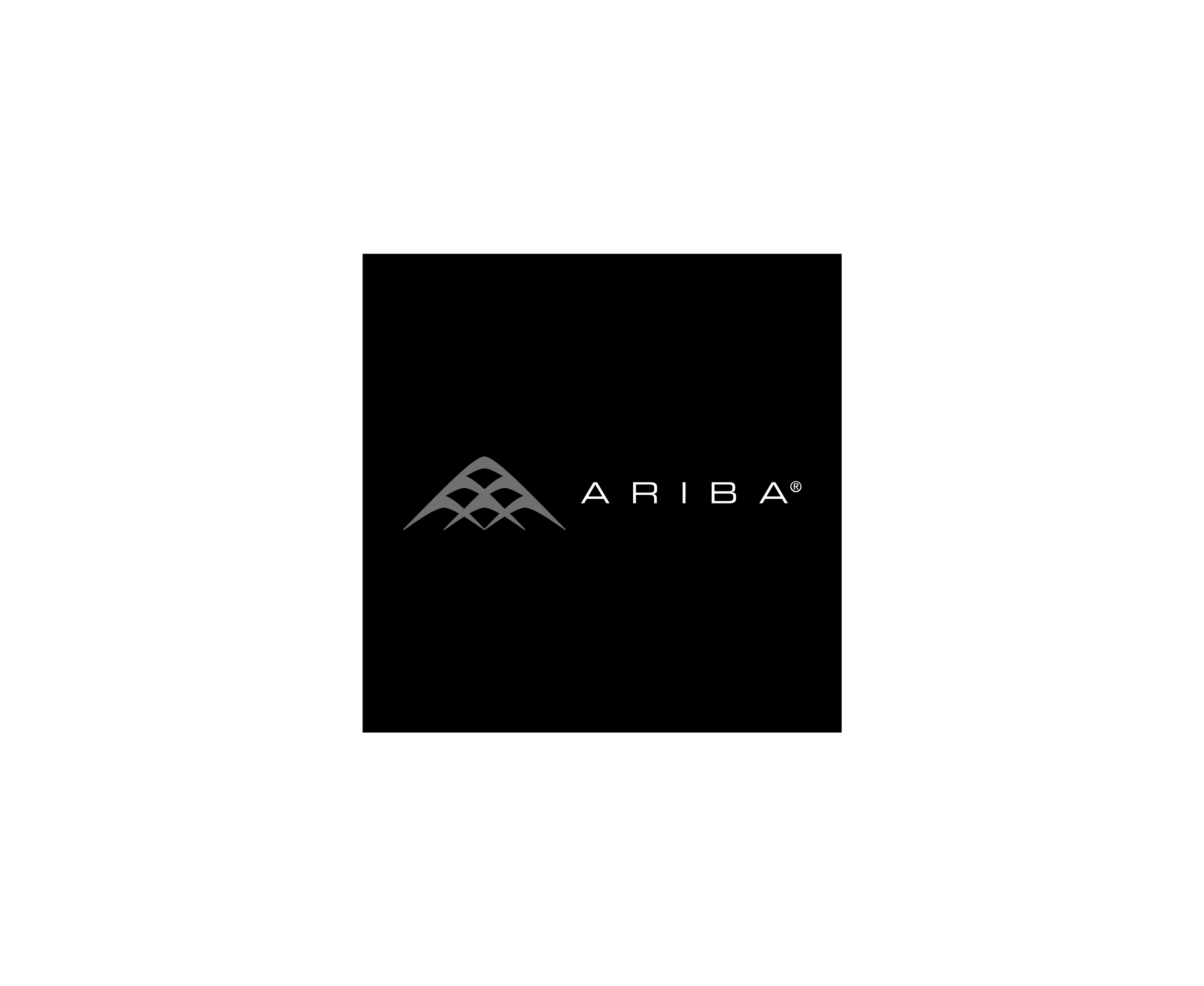 Ariba2标志