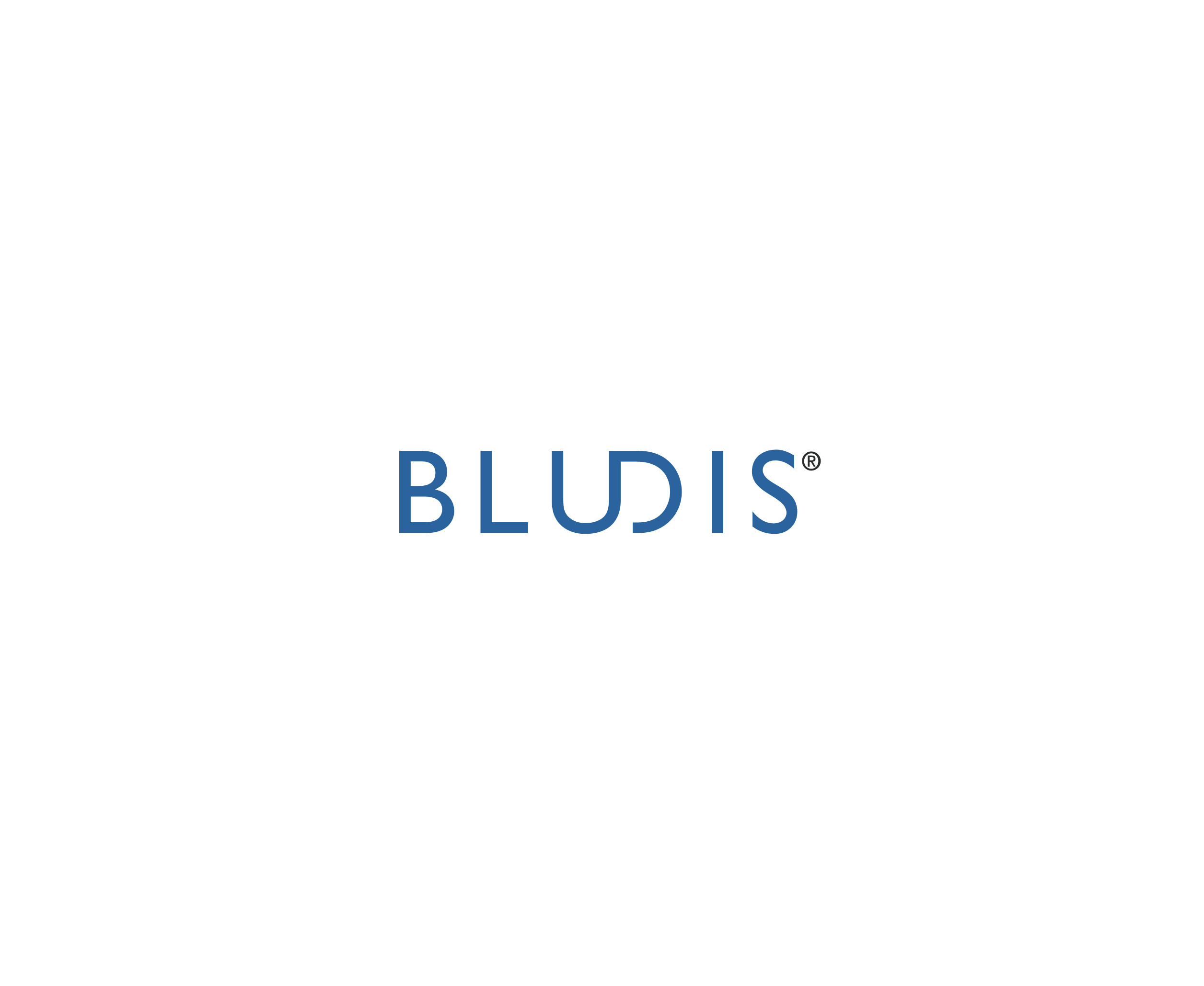 Bludis 40843标志