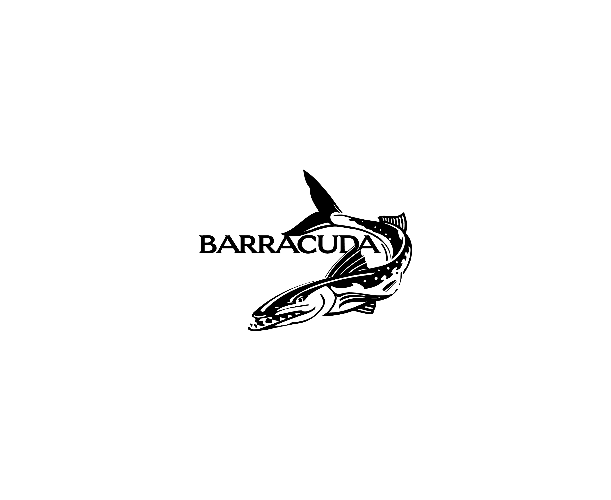 Barracuda 34869标志