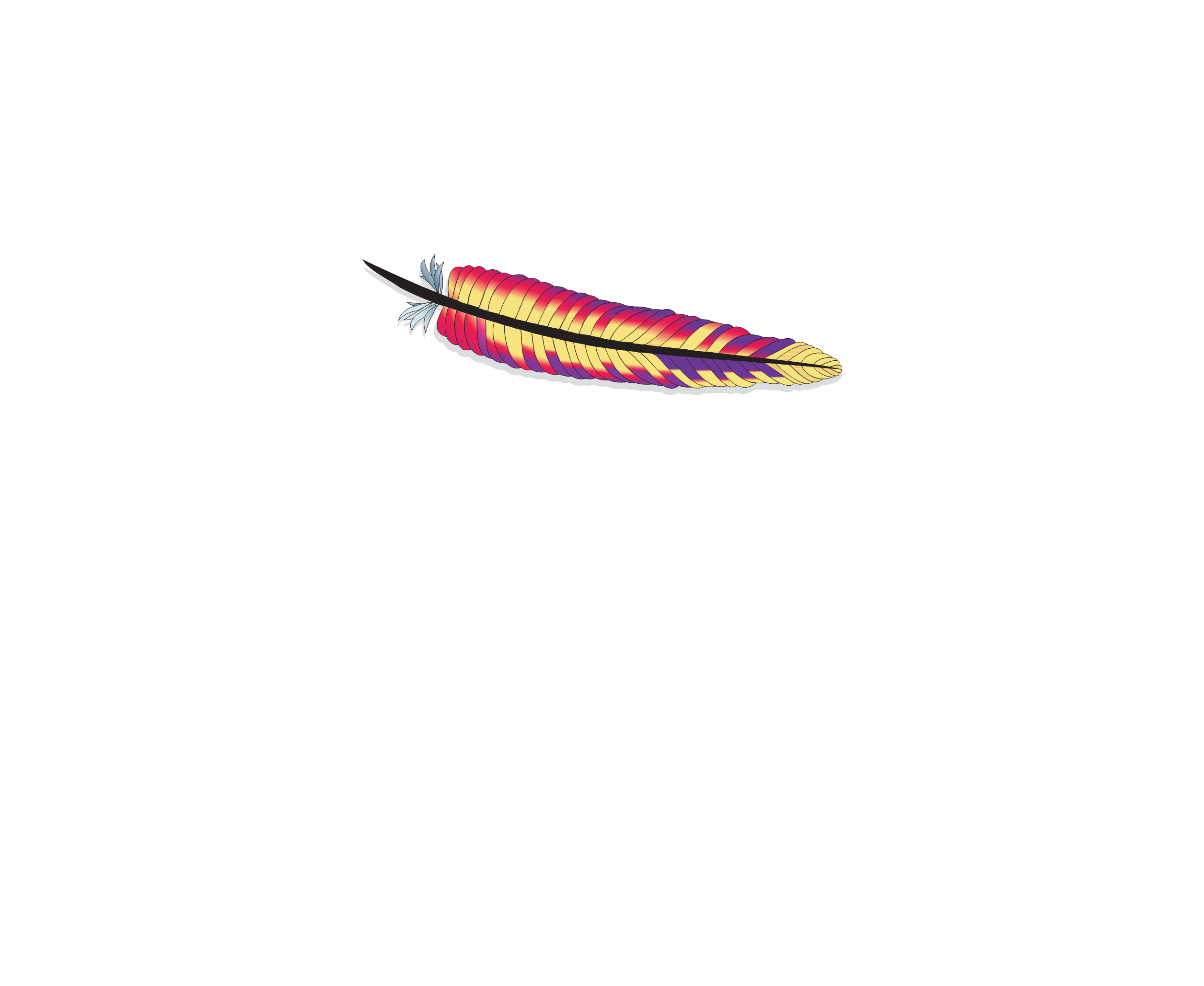 Apache 13标志