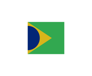 BraziliexLOGO