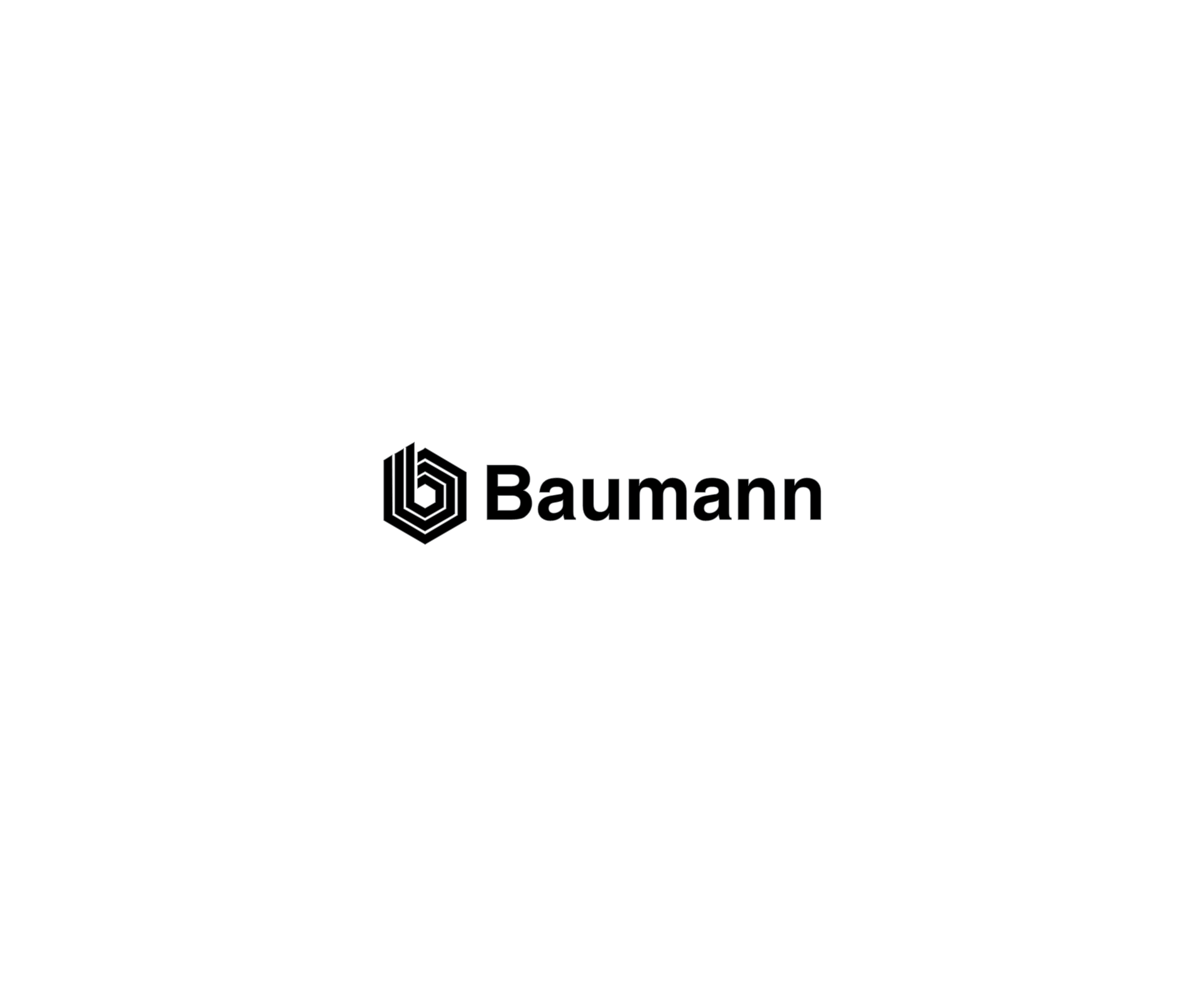 Baumann 51197标志