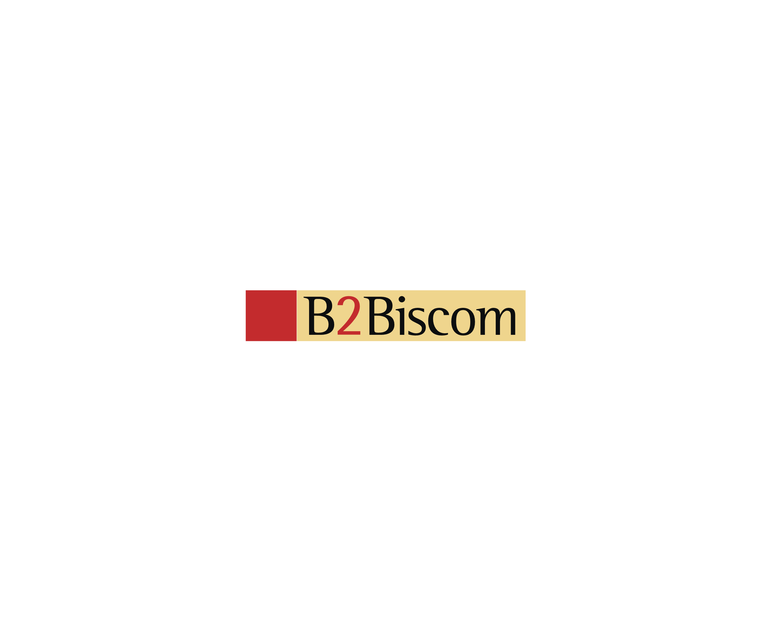 B2biscom标志