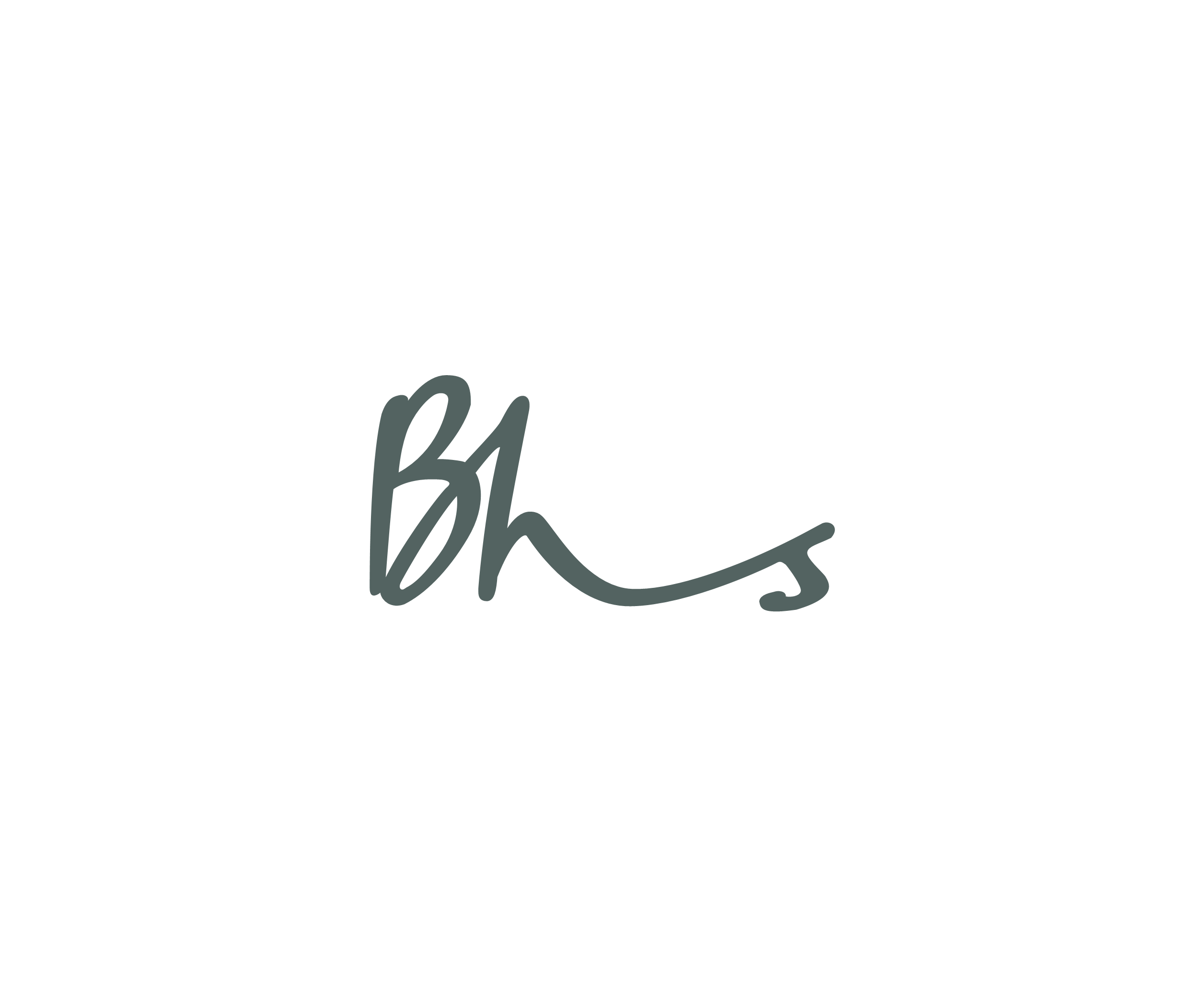 Bhs 784标志