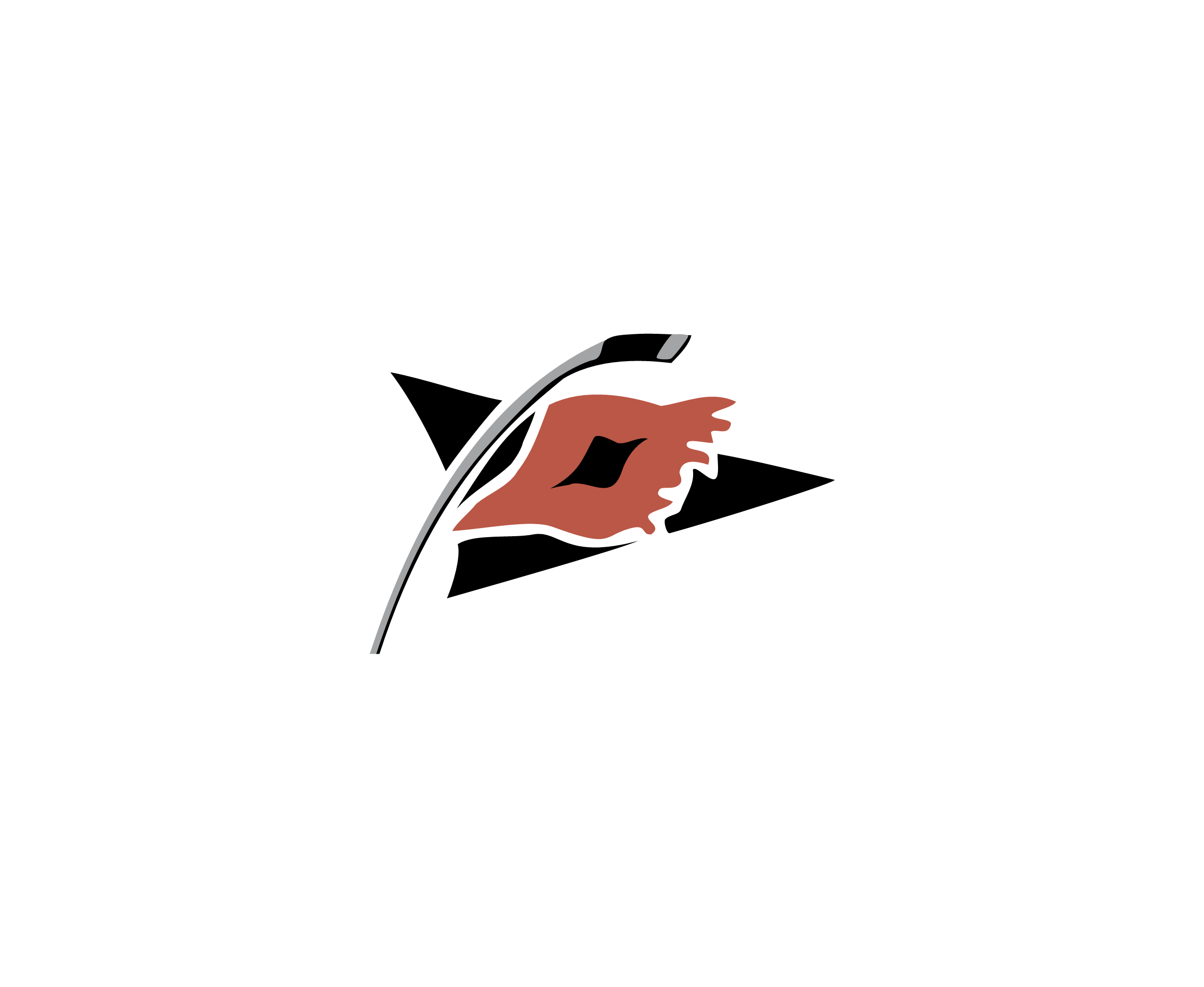Carolina Hurricanes 2标志