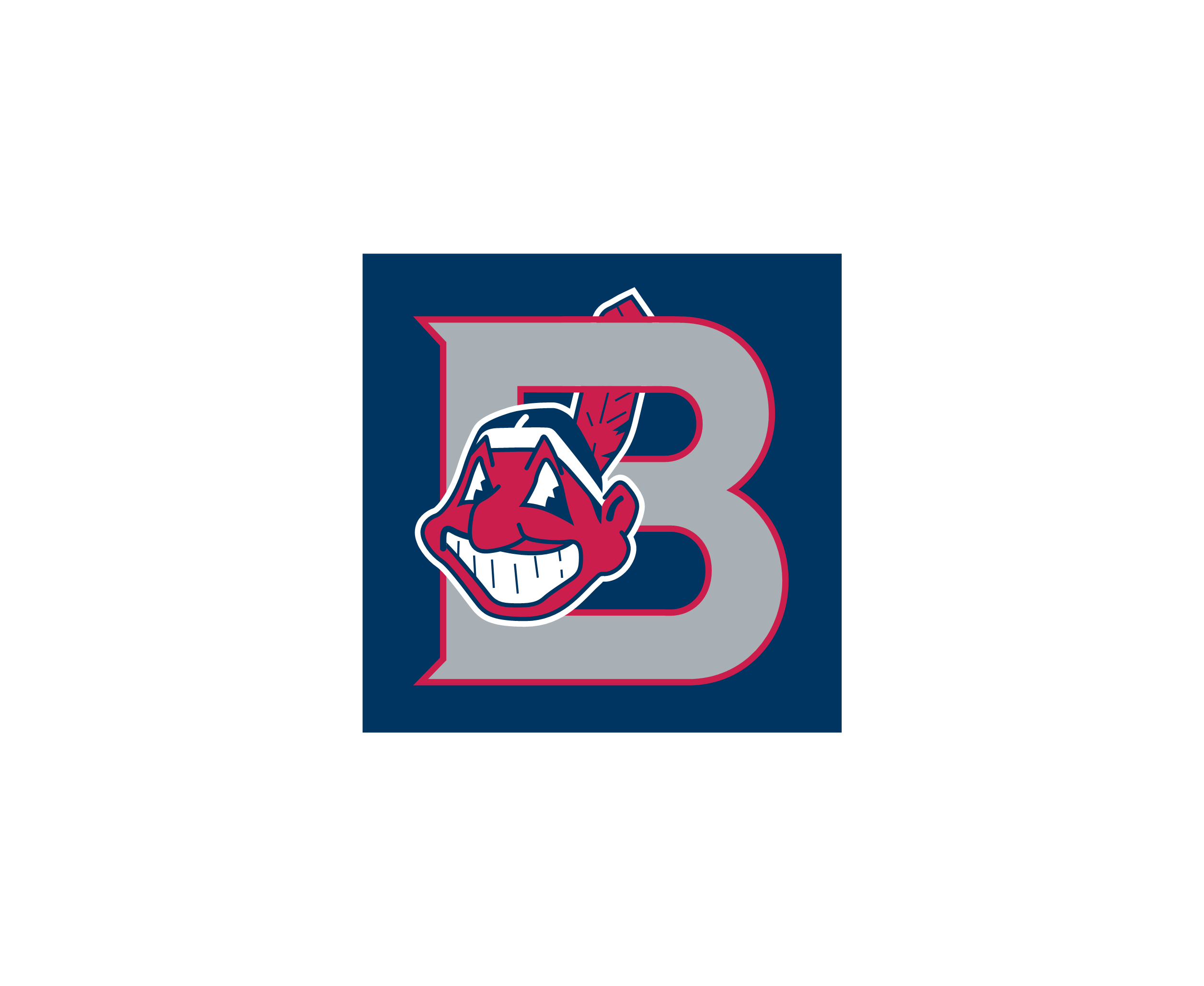 Burlington Indians 58784标志