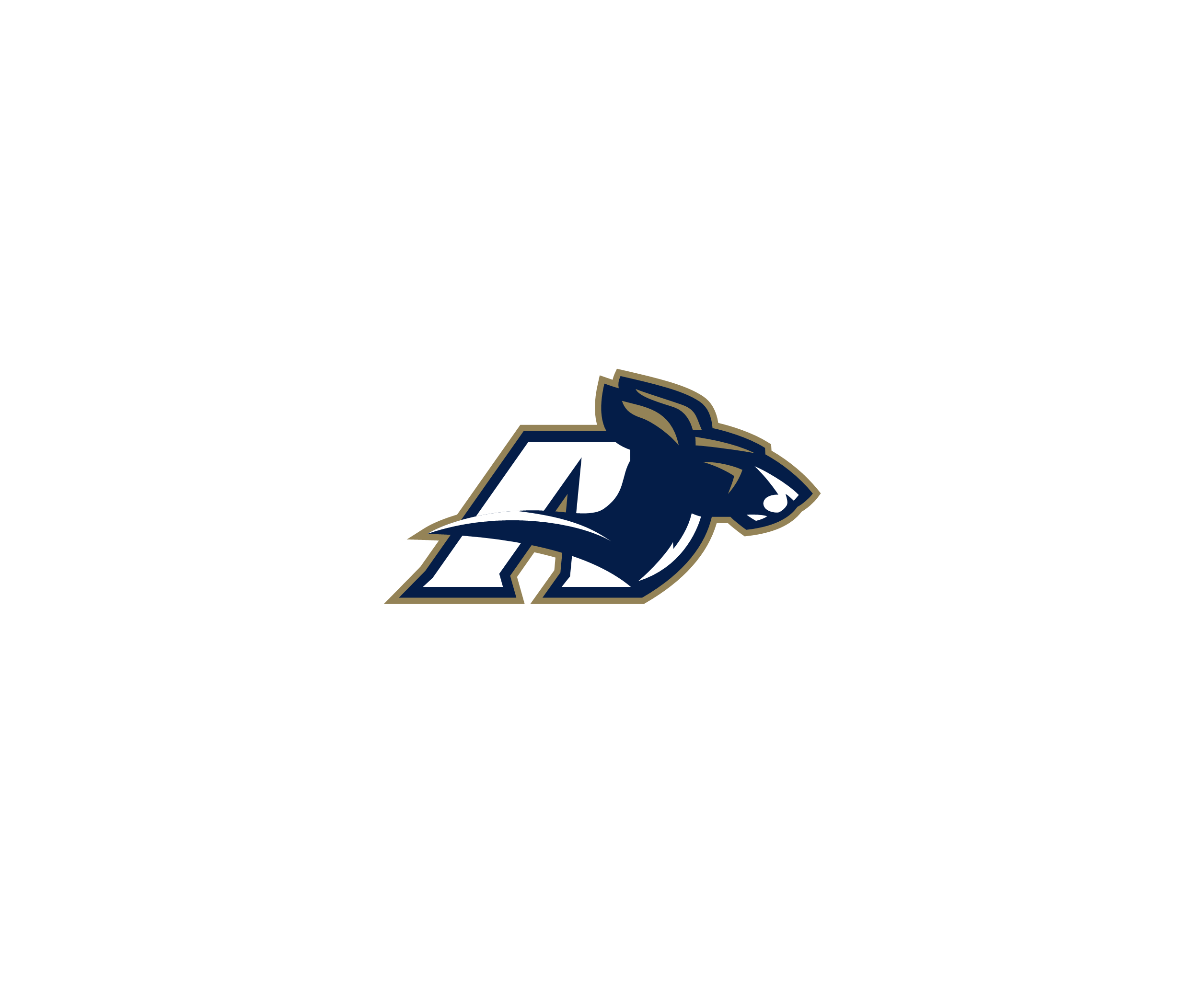 Akron Zips 76042标志