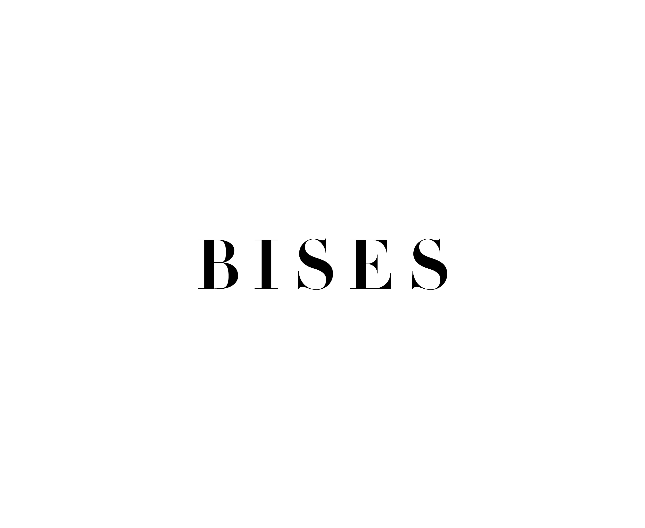 Bises 24995标志
