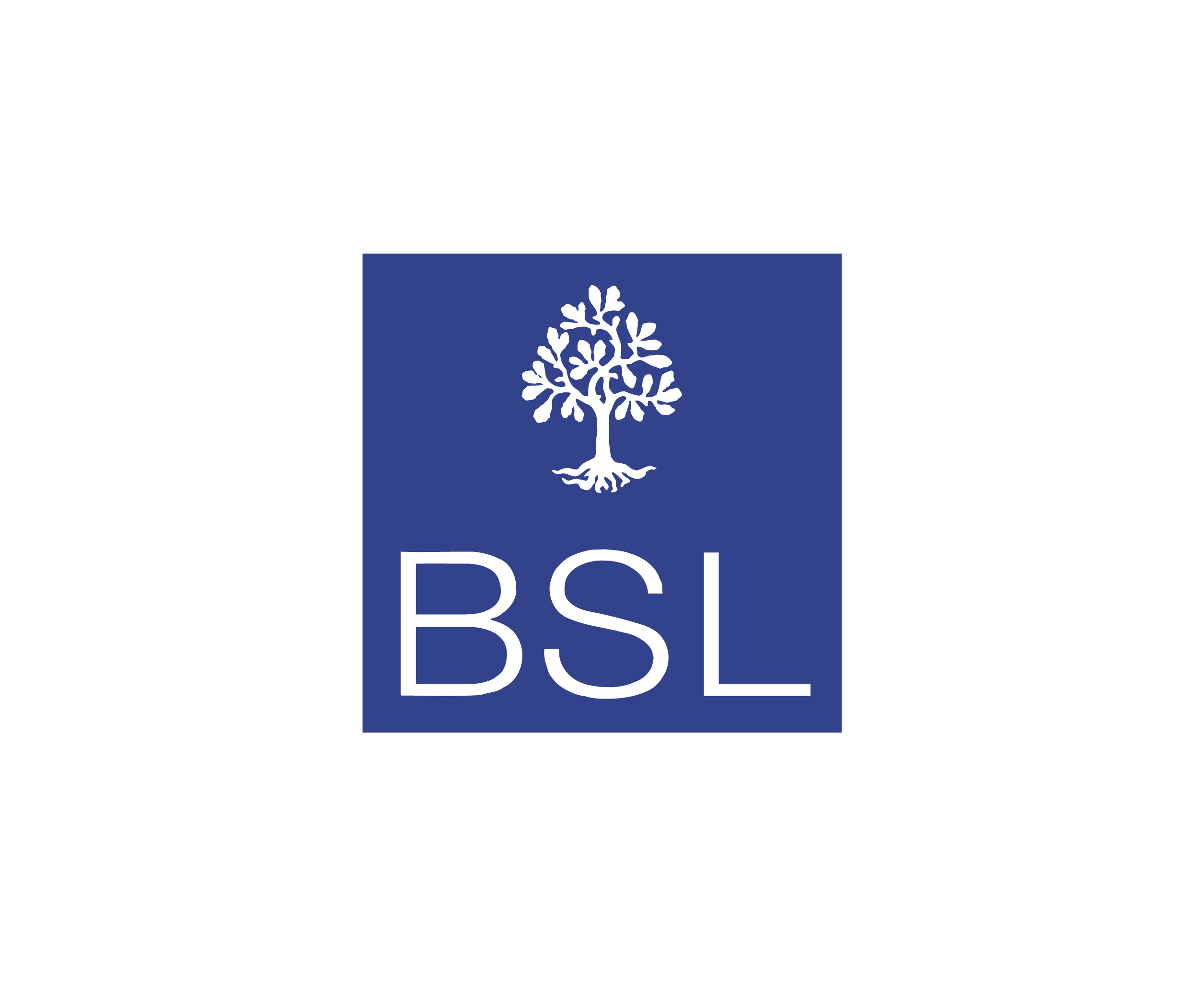 Bsl 61996标志