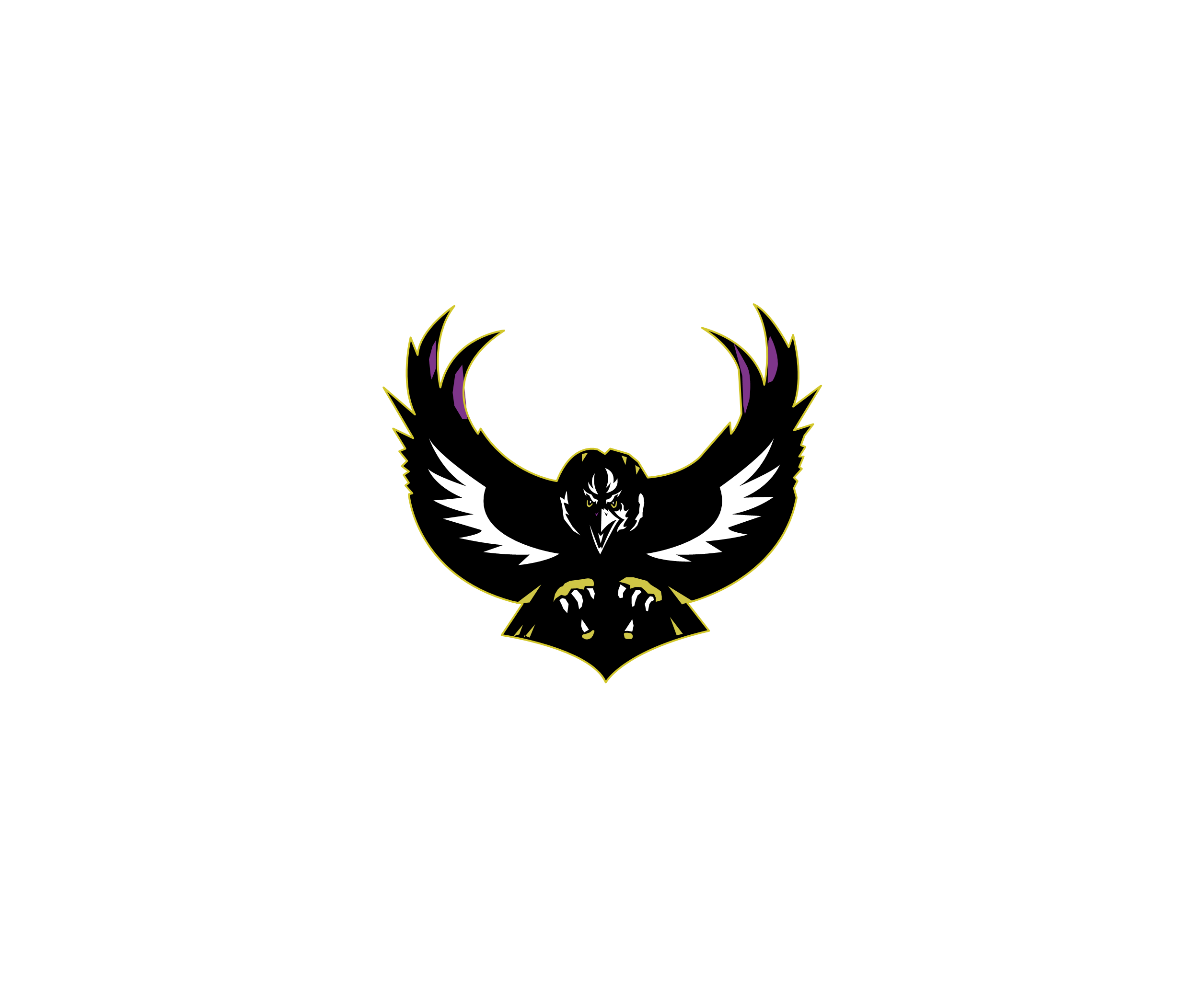 Baltimore Ravens 20493标志